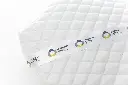 ANIK9852.webp
